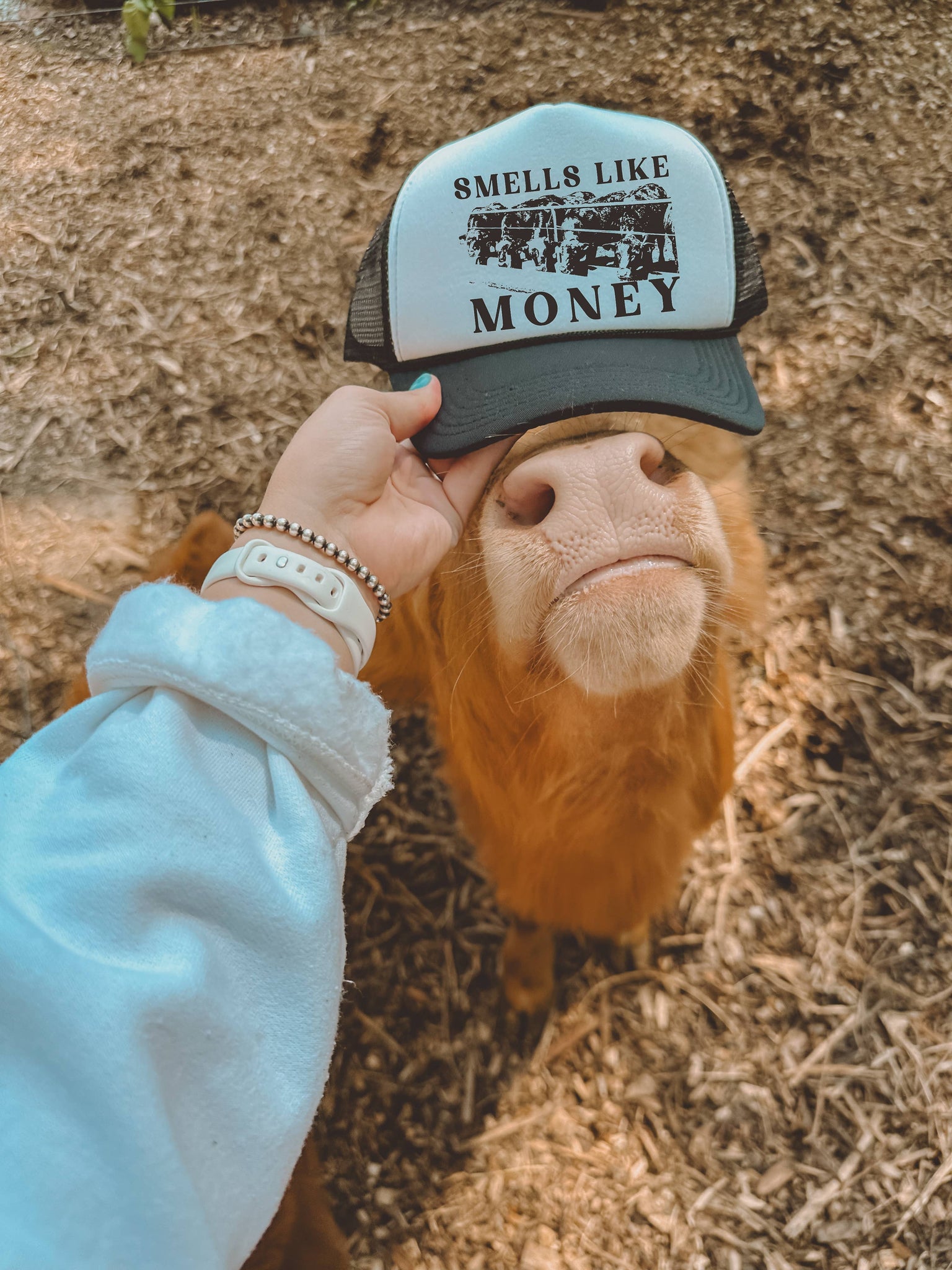 Smells Like Money Black Cap